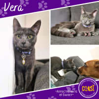 Photo of Vera