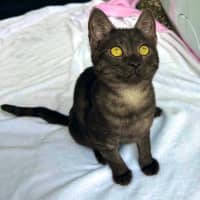 Photo of Velma