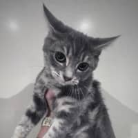 Photo of Sharon