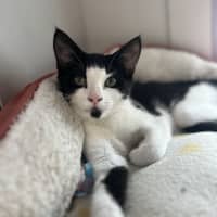 Photo of Spice