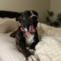 Photo of Darcee Cameron