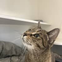 Photo of Marmite
