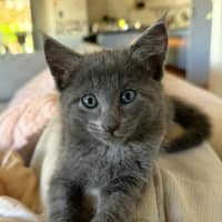 Photo of Asher