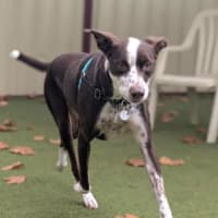 Photo of Bella 