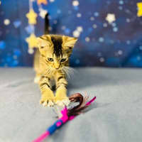 Photo of Bob   Located In Preston 