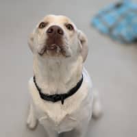 Photo of 🍰 Miffy 5583 🍰