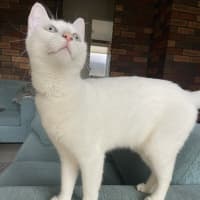 Photo of Amelia