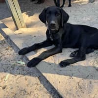 Photo of Barnaby