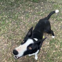 Photo of Jacko