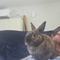 Photo of Irresistible Cuddles
