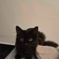 Photo of Derrick