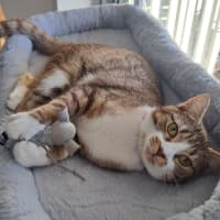 Photo of Emmy