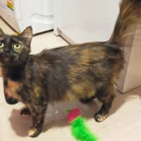 Photo of Hera