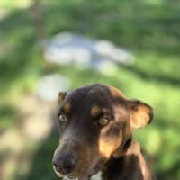 Photo of Max