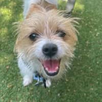 Photo of Sally