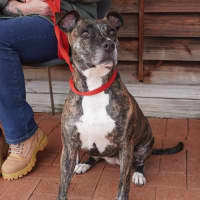 Photo of Della