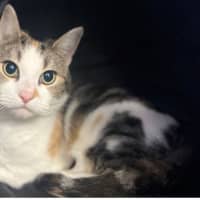 Photo of Isadora