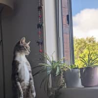 Photo of Zen