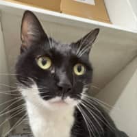 Photo of Kimmi