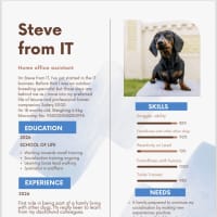 Photo of Steve From It