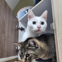 Photo of 🫶 Rudy 6712 🫶