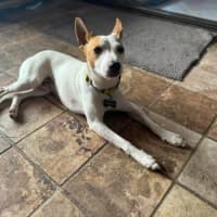 Photo of Zeek