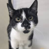 Photo of 🌵 Jeremiah 6268 🌵