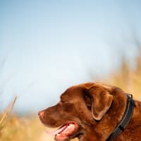Photo of Leroy