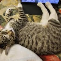 Photo of Truffle & Faun 