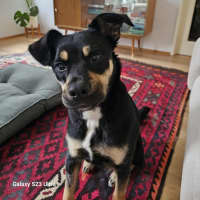 Photo of Polly