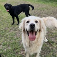 Photo of Zeus