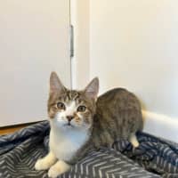 Photo of Alice