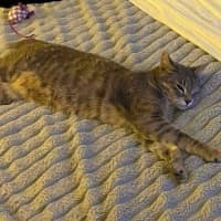 Photo of Mia
