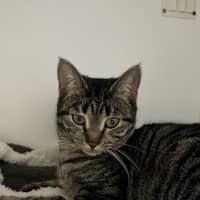 Photo of Barbara 
