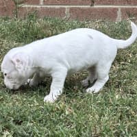 Photo of Gyn (Was Luna)