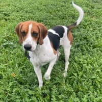 Photo of Wally