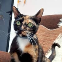 Photo of Faye (8925)