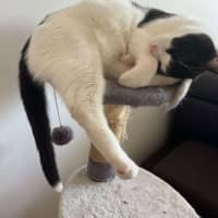 Photo of Hope & Oreo