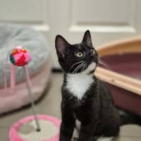 Photo of Sprout