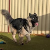 Photo of Tia