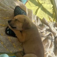 Photo of Kira