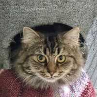 Photo of Bubbles