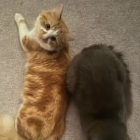 Photo of Jinji