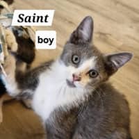 Photo of Saint