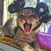 Photo of Gabby