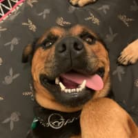 Photo of Ally And Lilly