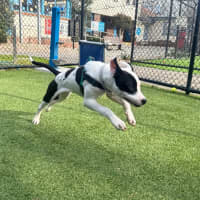 Photo of Lara