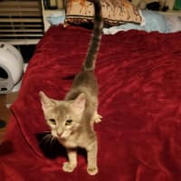 Photo of Ridoc