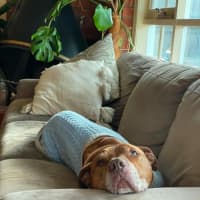 Photo of Kenai
