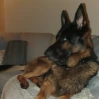 Photo of Mack
